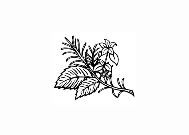 rosemary oregano basil